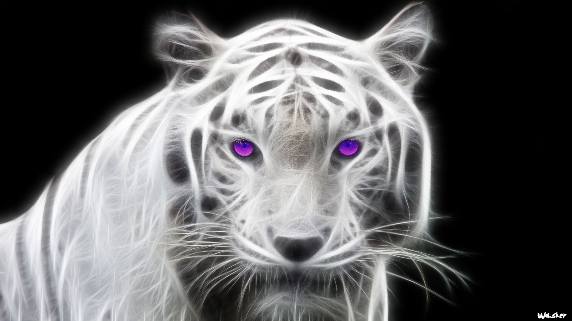 Fonds d'cran Animaux Flins - Tigres Tigre blanc fractal