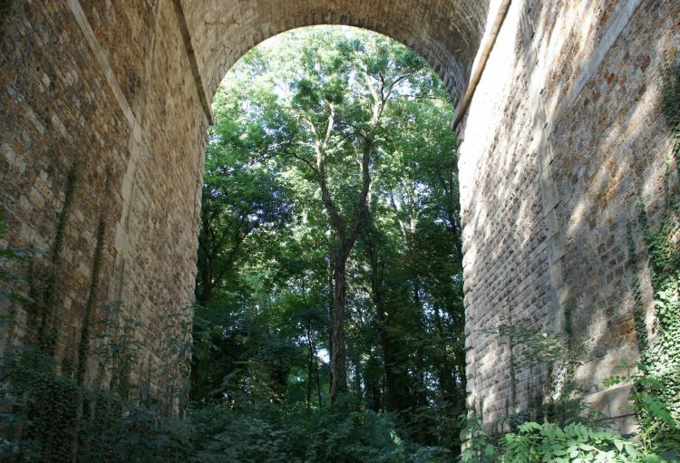 Wallpapers Nature Trees - Forests Le viaduc de Brunoy  et un beau espace de verdure, avec de grands arbres !