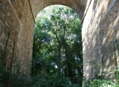  Nature Le viaduc de Brunoy  et un beau espace de verdure, avec de grands arbres !