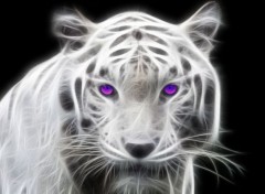  Animals Tigre blanc fractal