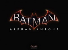  Jeux Vido Batman Arkham Knight