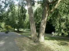  Nature L'ile de Brunoy