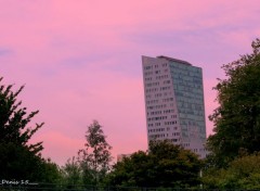  Constructions et architecture LILLE vues du parc Henri MATISSE