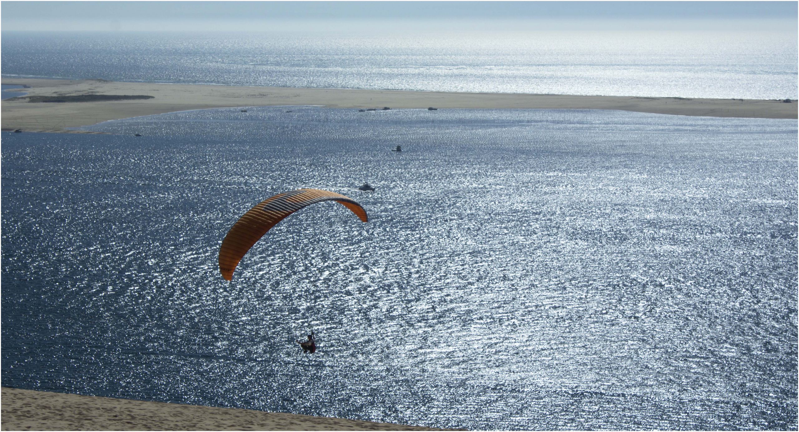 Fonds d'cran Nature Mers - Océans - Plages l'aile de la liberté