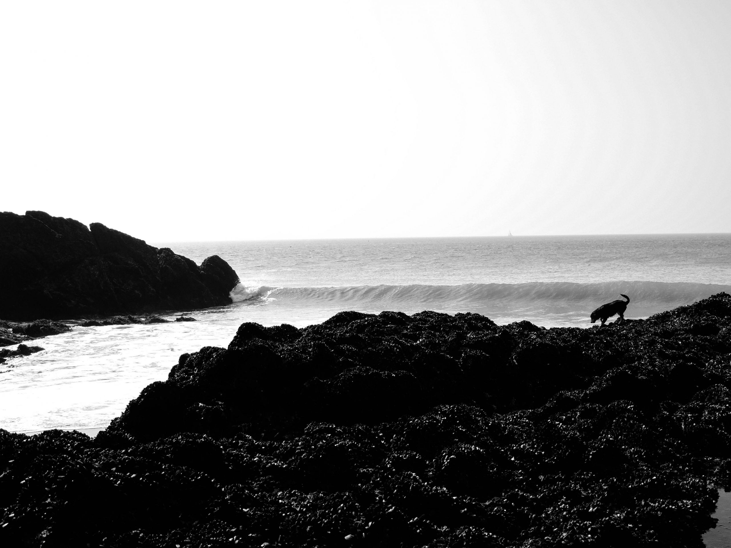 Fonds d'cran Nature Mers - Ocans - Plages 