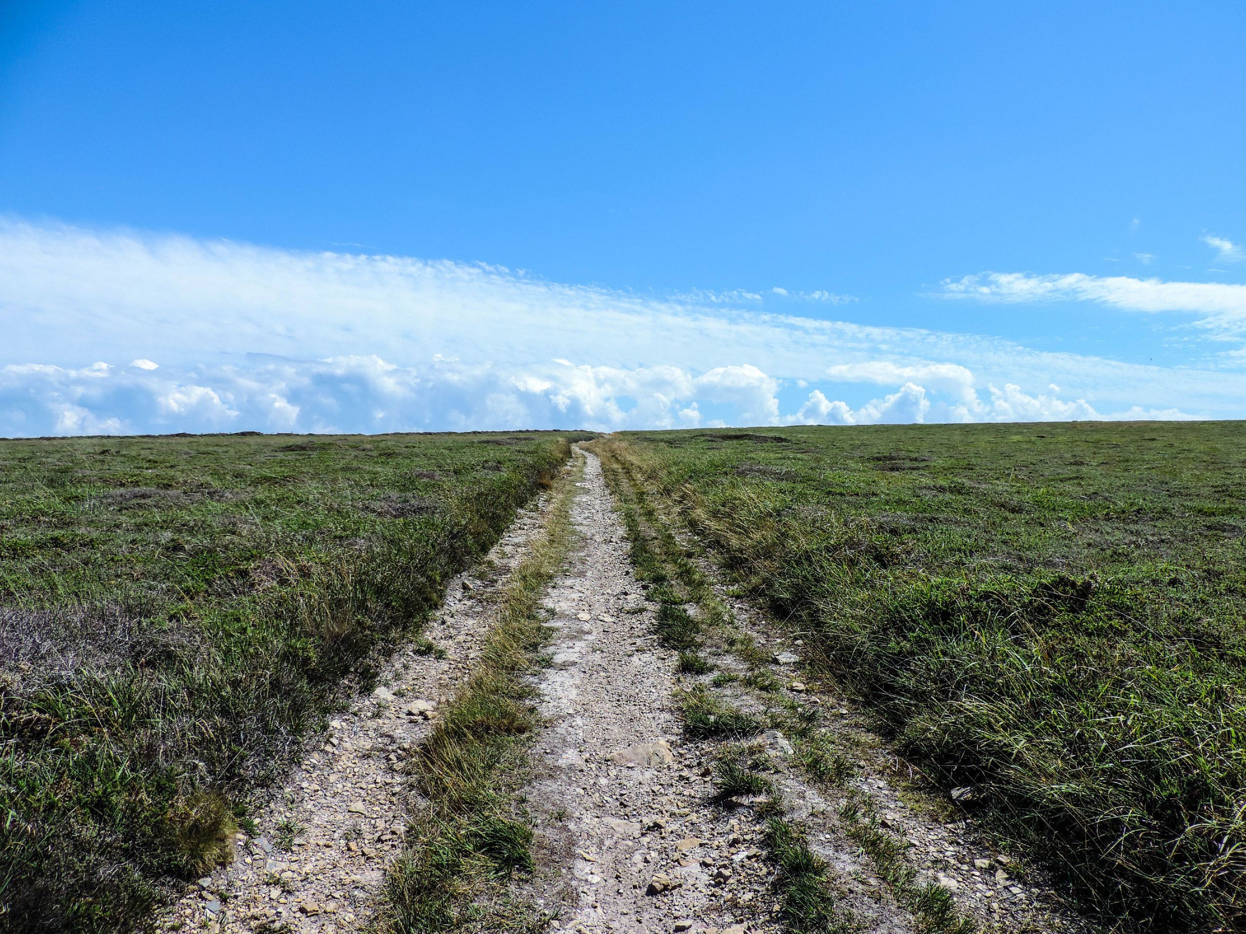 Wallpapers Nature Paths 