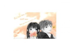  Manga Kimi ni todoke