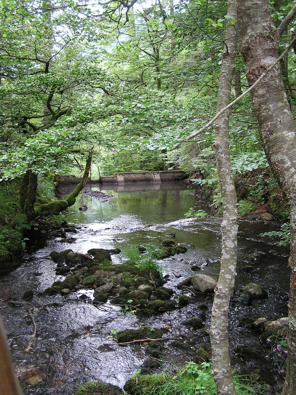 Fonds d'cran Nature Fleuves - Rivires - Torrents Lac