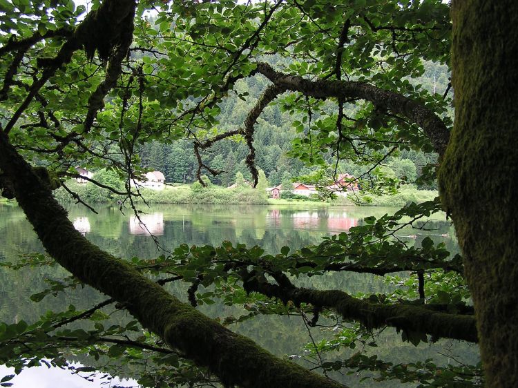 Fonds d'cran Nature Lacs - Etangs Lac