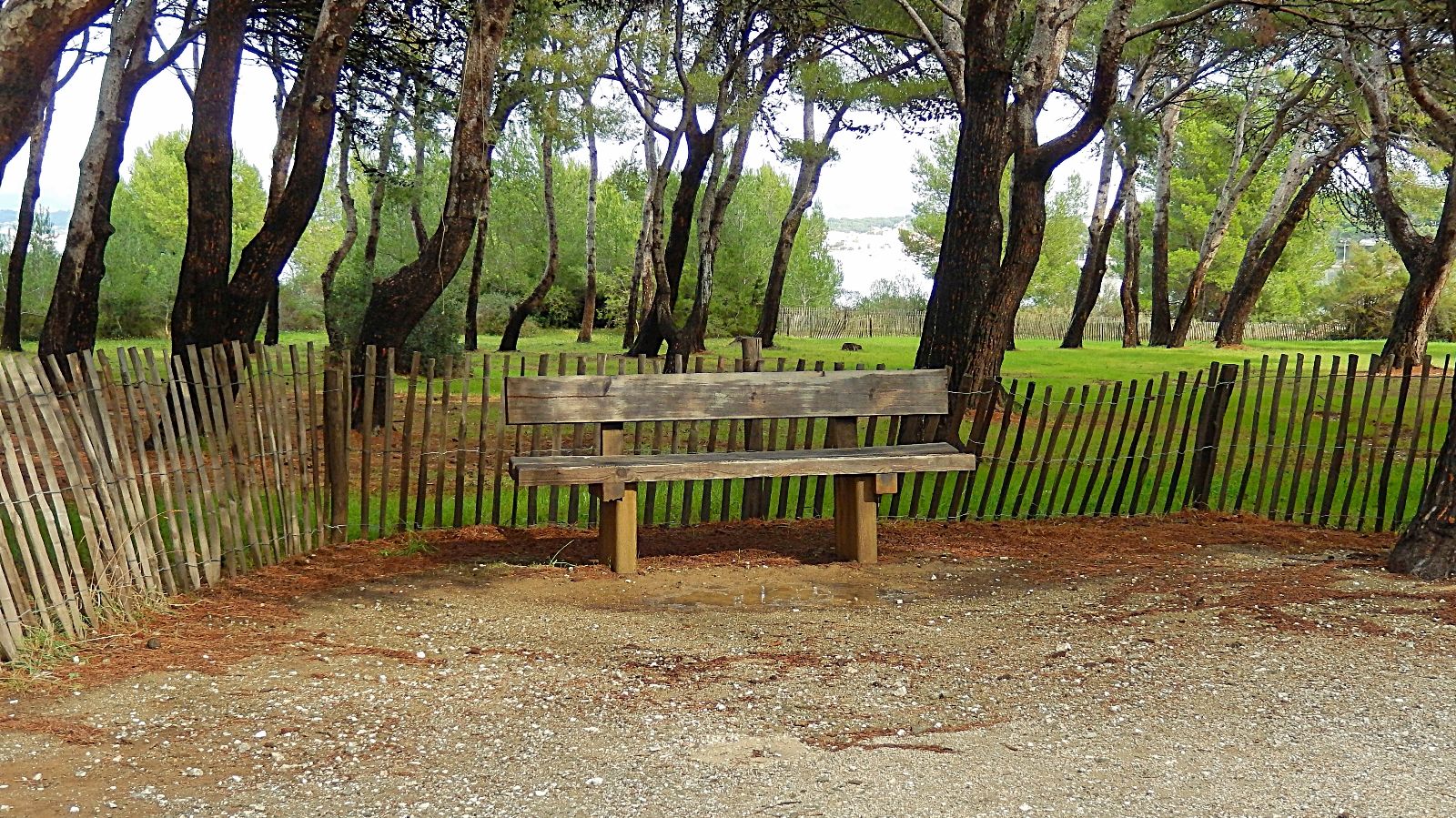 Fonds d'cran Nature Parcs - Jardins Pinde du Gaou, le Brusc, six-Fours les Plages, Var, France.