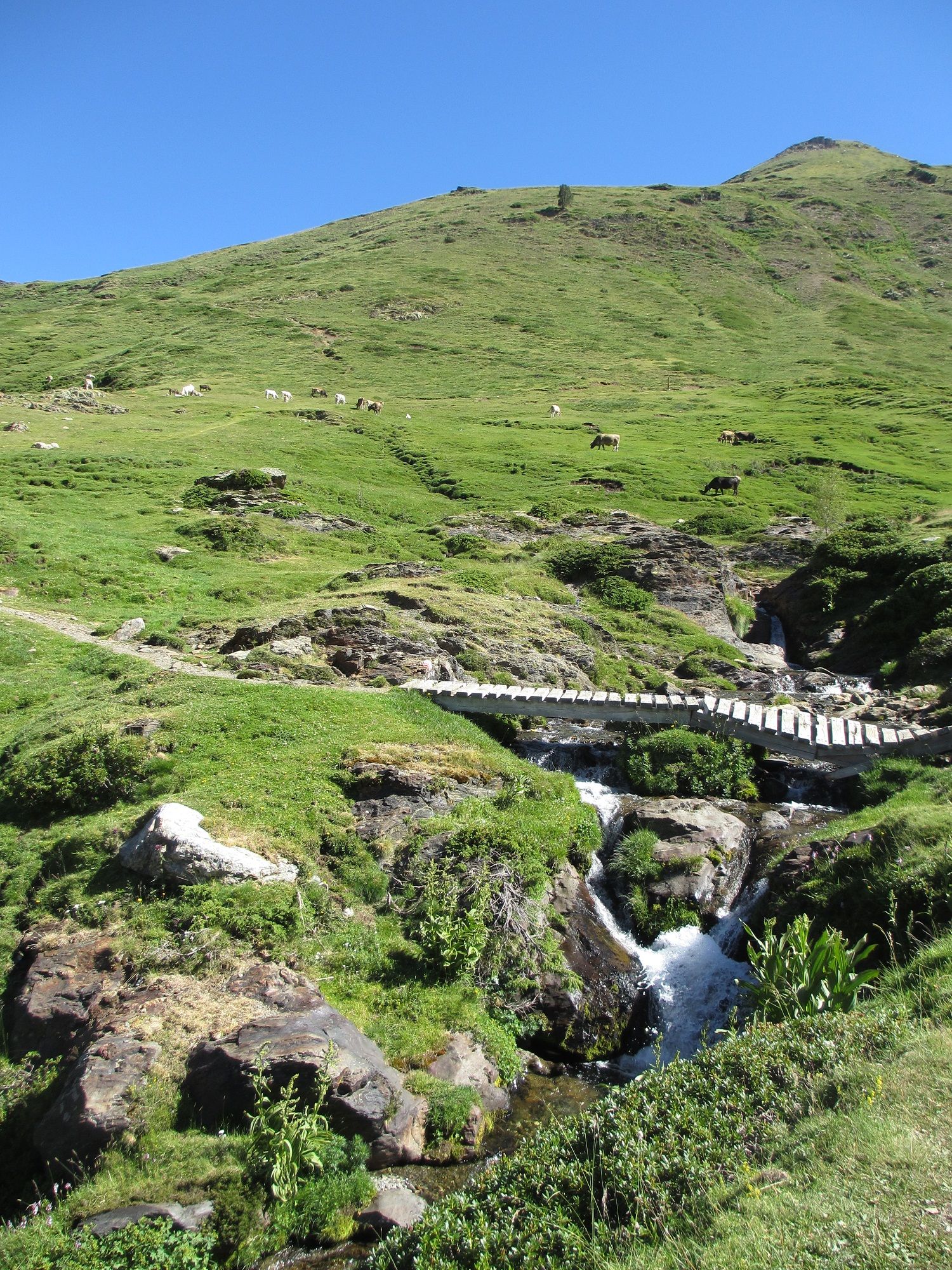 Fonds d'cran Nature Fleuves - Rivires - Torrents Torrent, Catalogne, Espagne