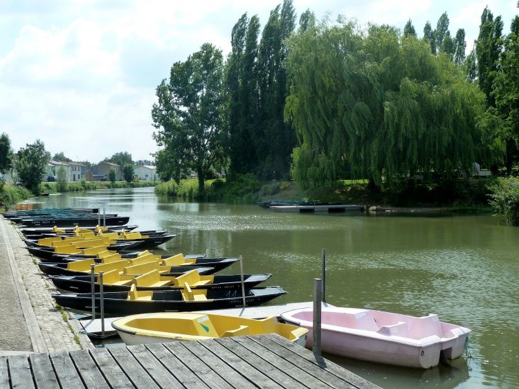 Fonds d'cran Nature Canaux Marais Poitevins