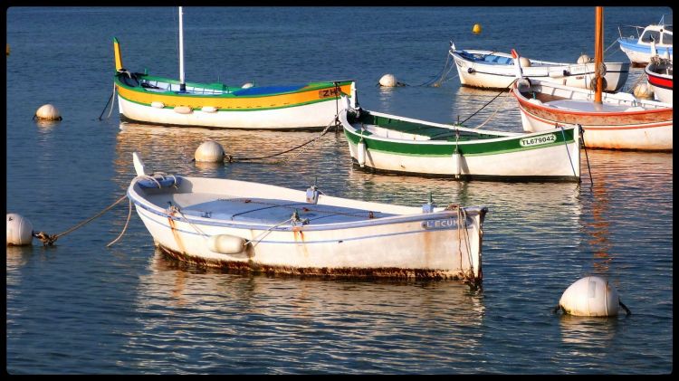 Wallpapers Boats Fishing Boats bateaux de pêche