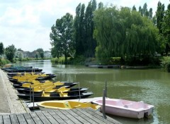  Nature Marais Poitevins