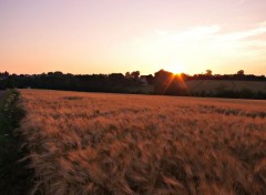  Nature Coucher du soleil sur la campagne normande