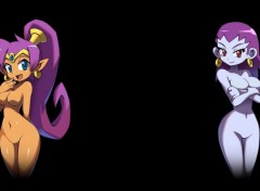 Fonds d'cran Erotic Art Shantae & Risky Retextured Art