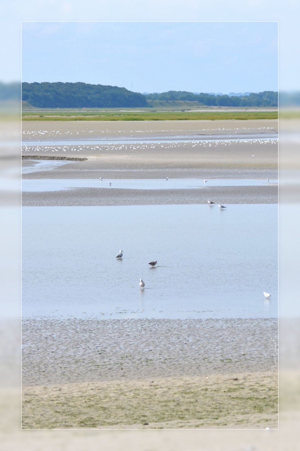 Wallpapers Nature Seas - Oceans - Beaches Baie de Somme