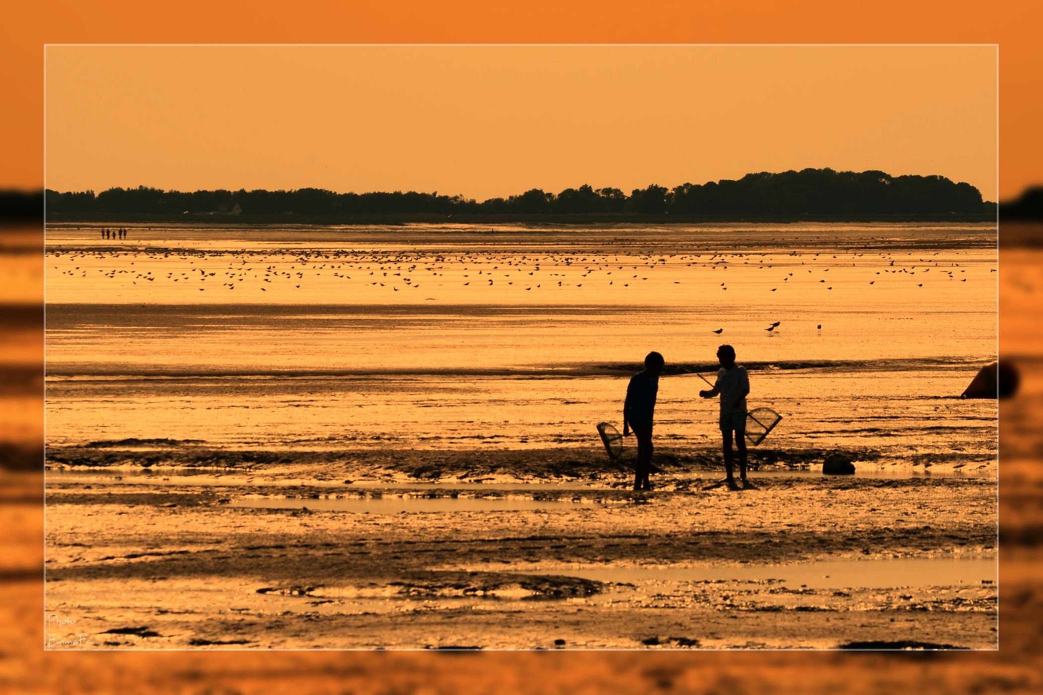 Wallpapers Nature Seas - Oceans - Beaches Baie de Somme