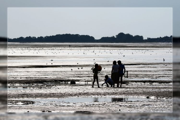 Wallpapers Nature Seas - Oceans - Beaches Baie de Somme