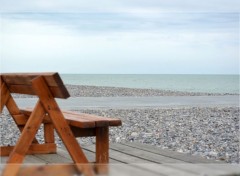  Nature Baie de Somme