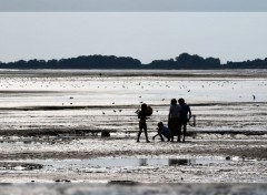  Nature Baie de Somme