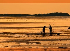  Nature Baie de Somme