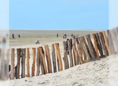  Nature Baie de Somme