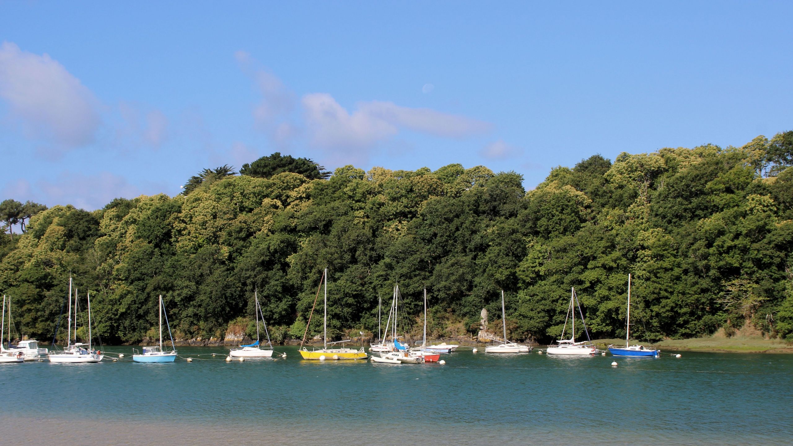 Fonds d'cran Bateaux Voiliers 