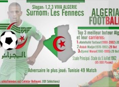  Art - Numrique Tableau Algerien de Footbal