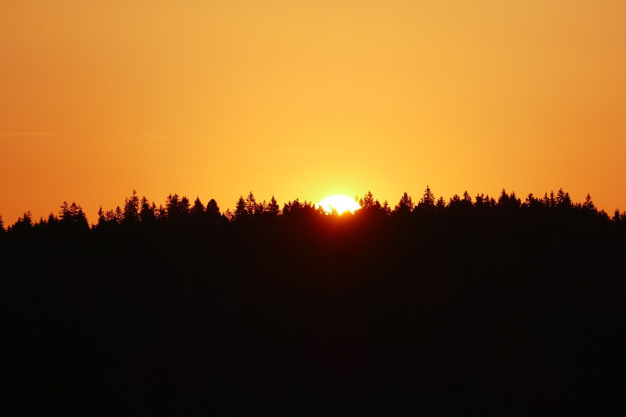 Wallpapers Nature Sunsets and sunrises La Forêt Noire - Allemagne