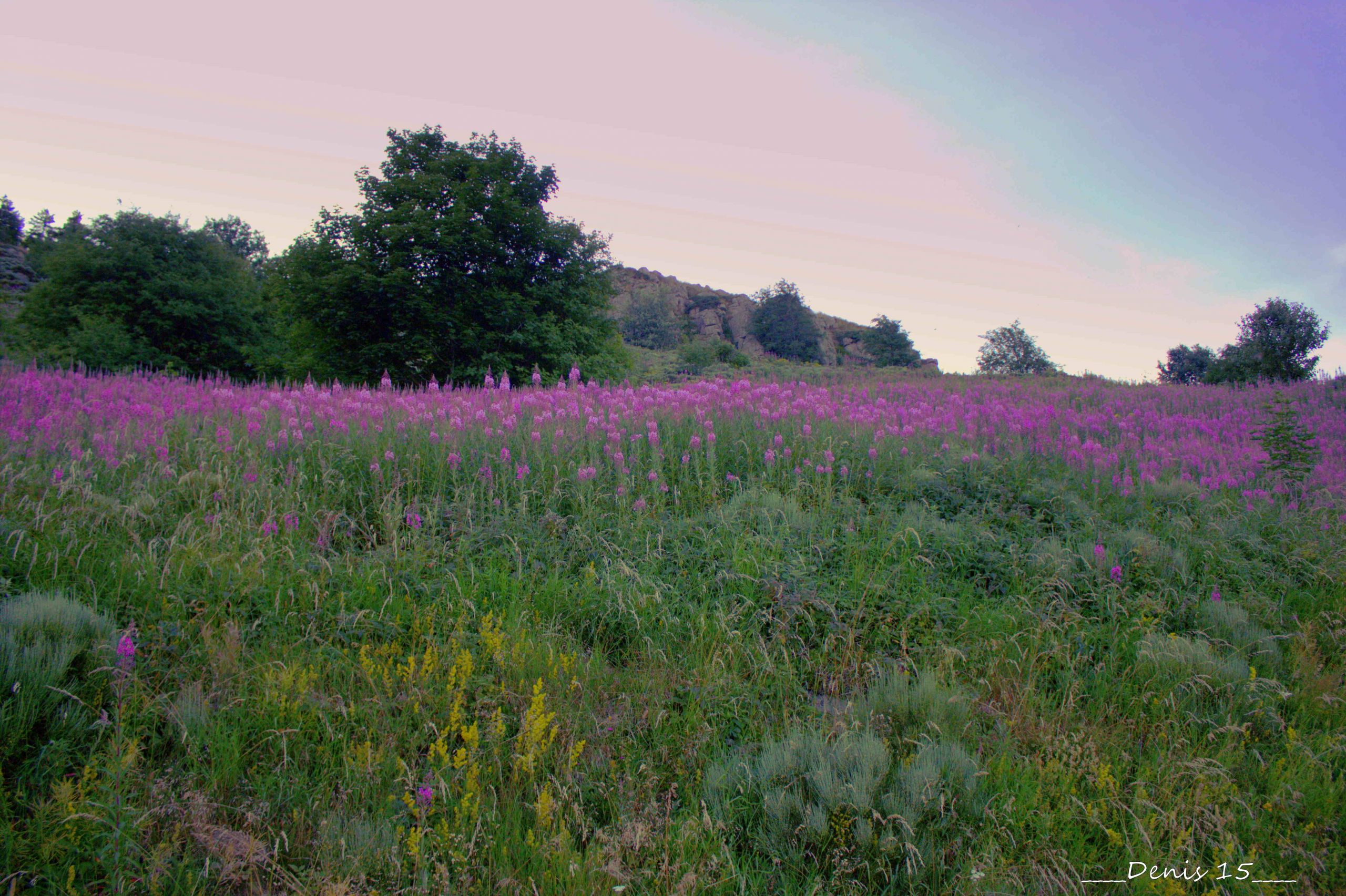 Wallpapers Nature Mountains AUVERGNE-HAUTE LOIRE