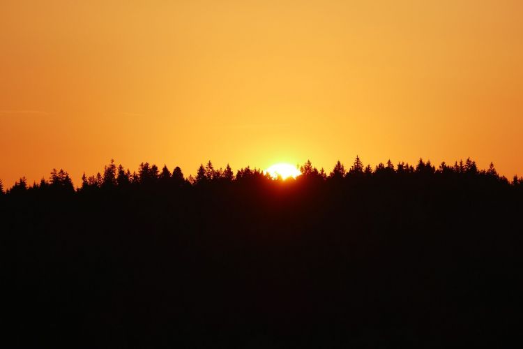 Fonds d'cran Nature Couchers et levers de Soleil La Forêt Noire - Allemagne