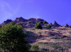  Nature AUVERGNE-HAUTE LOIRE