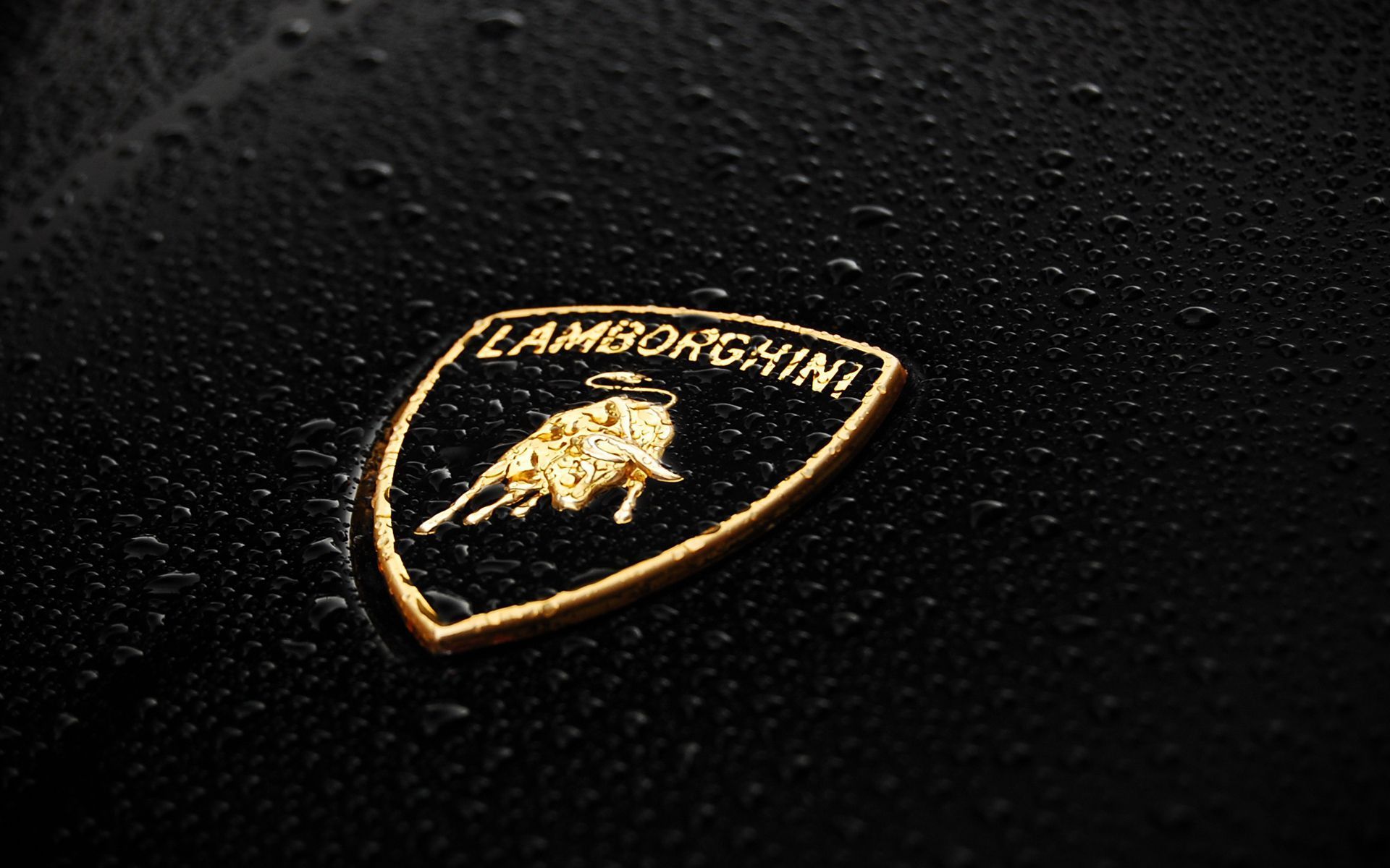 Wallpapers Cars Lamborghini 