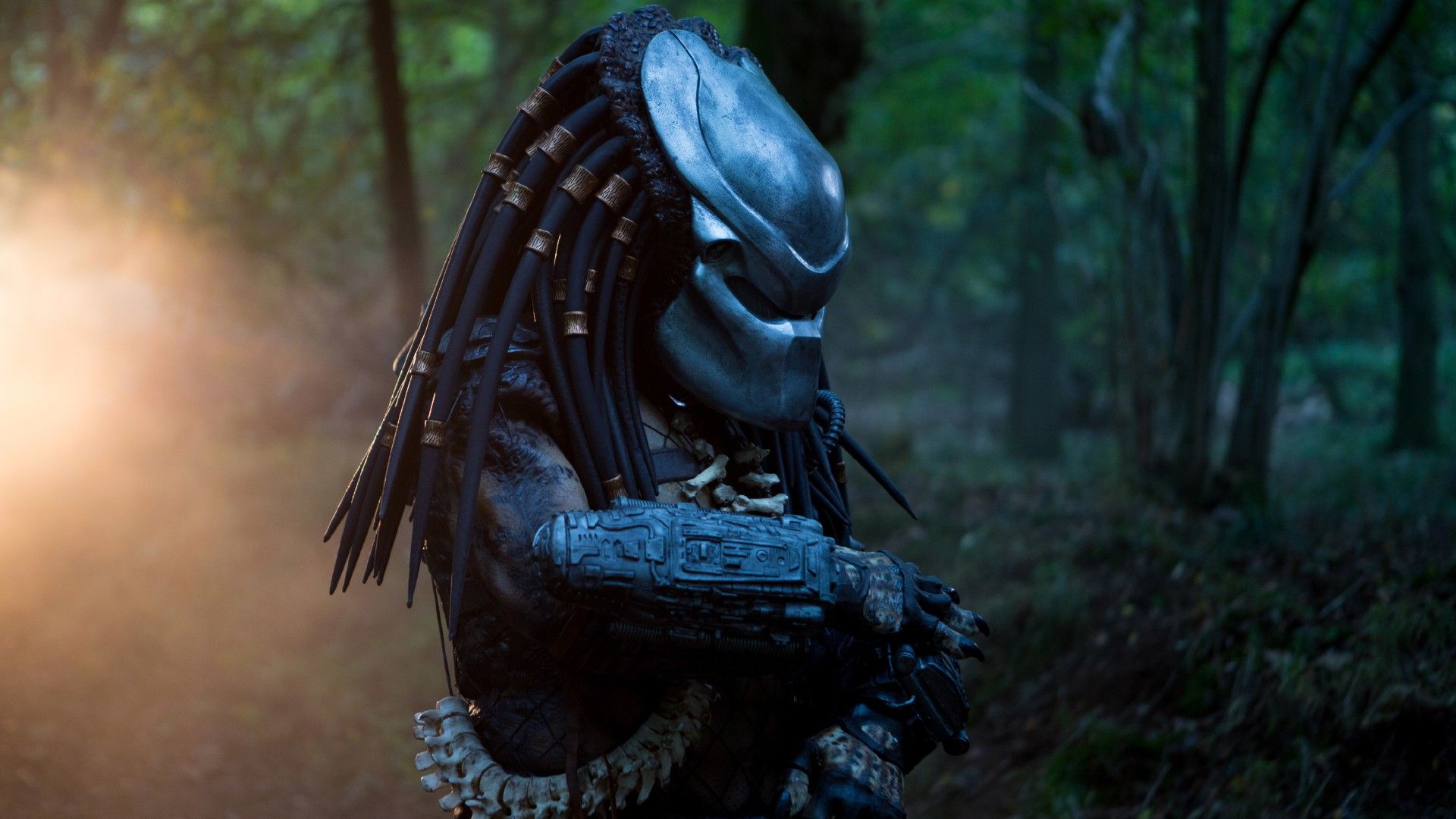 Wallpapers Movies Predator 