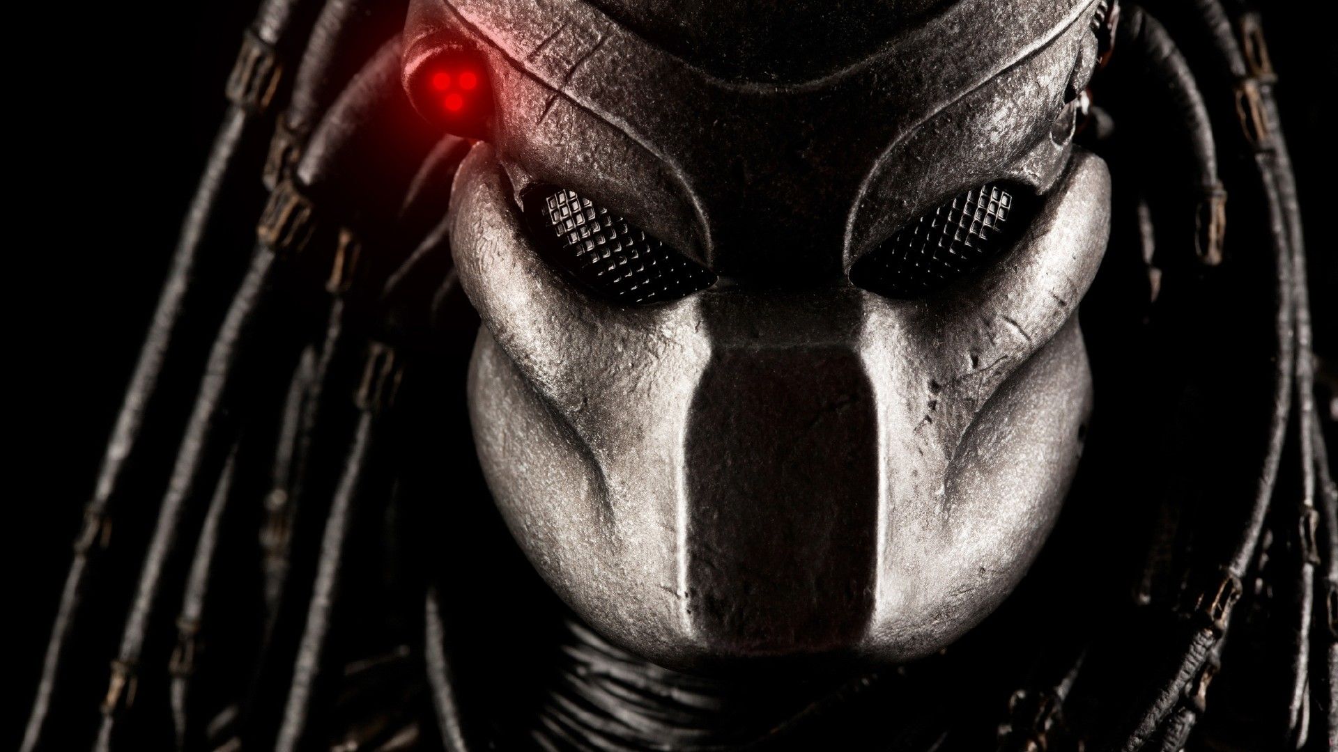 Wallpapers Movies Predator 