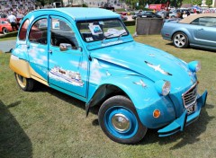  Voitures 2 CV avec peinture-dco personnalise