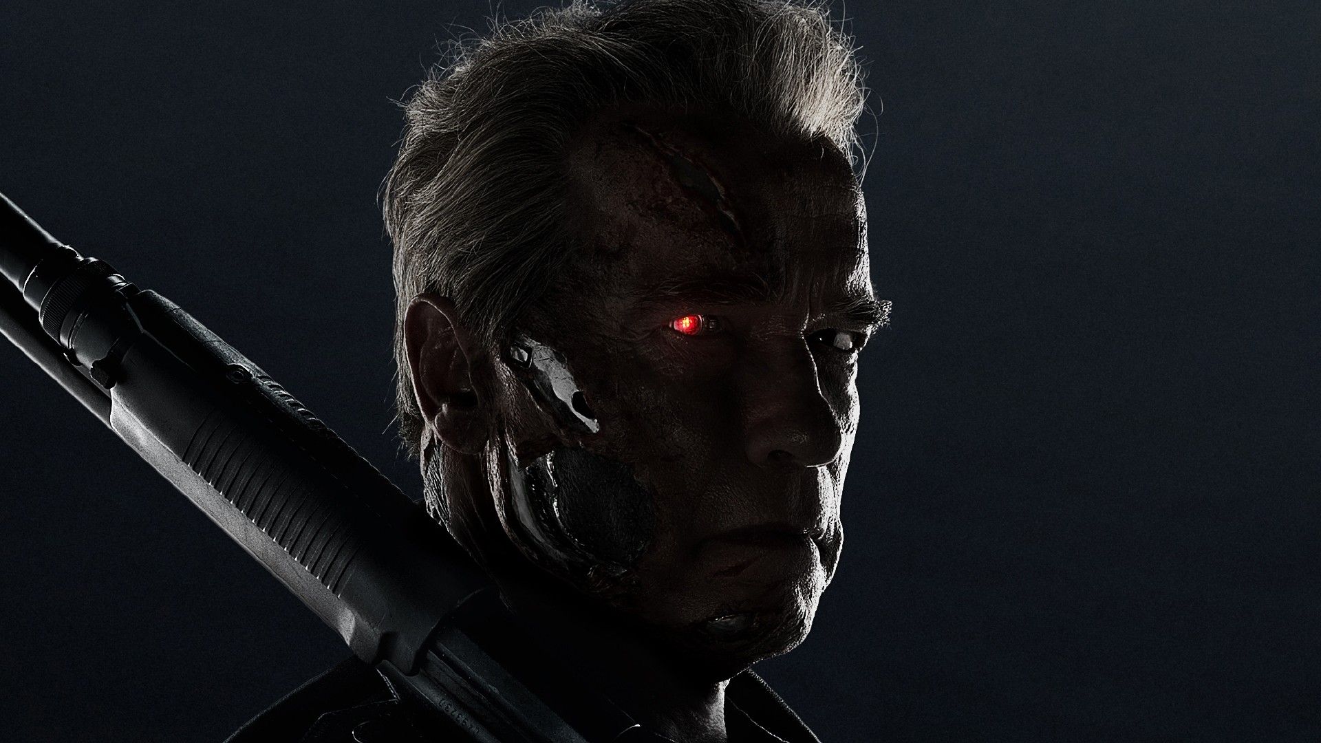 Fonds d'cran Cinma Terminator - Genisys 