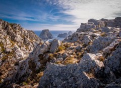  Nature Bretagne