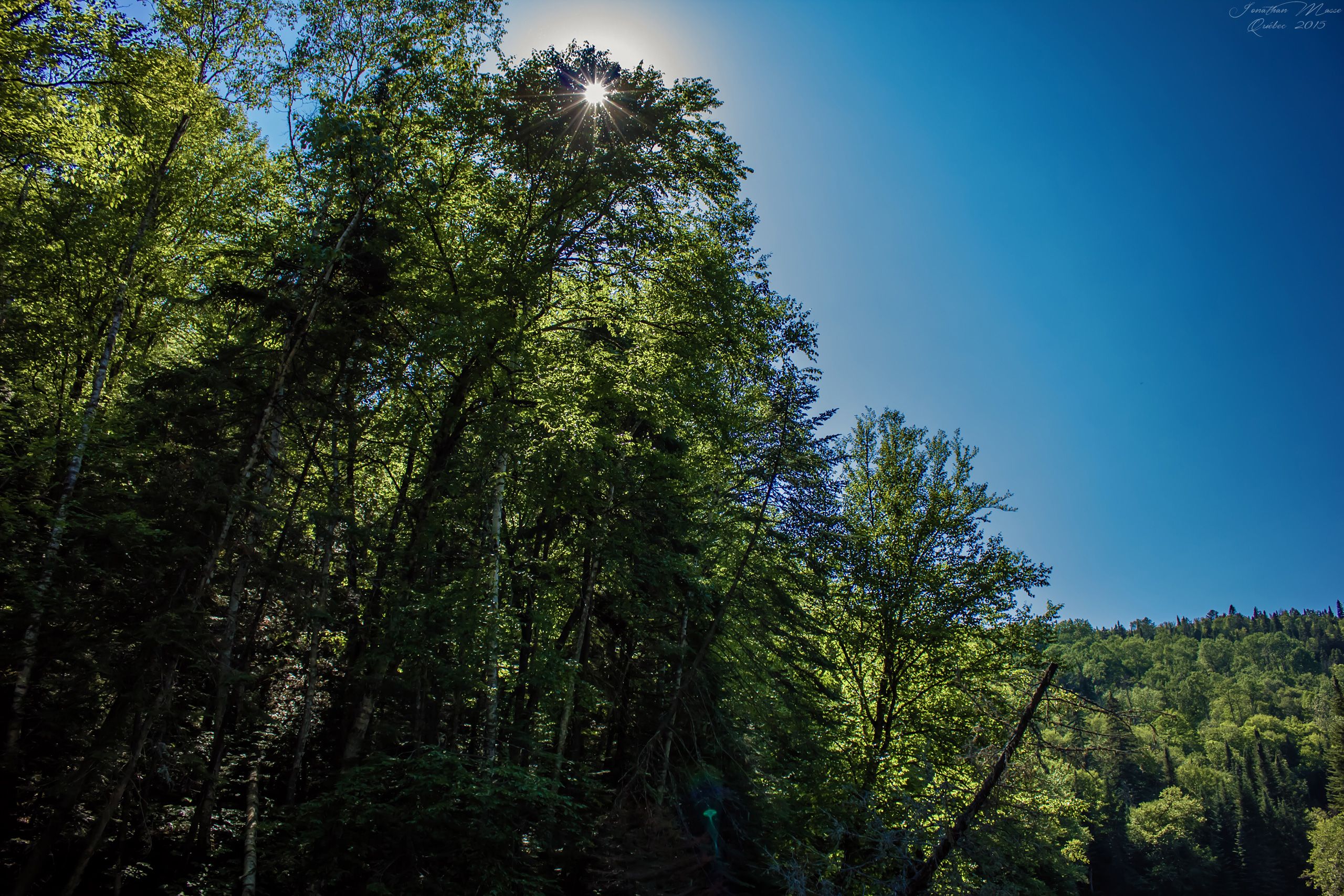 Fonds d'cran Nature Arbres - Forts Mauricie (Québec)