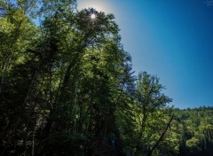  Nature Mauricie (Québec)