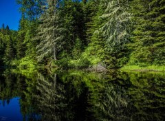  Nature Mauricie (Québec)