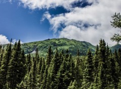  Voyages : Amrique du nord Paysages du Québec