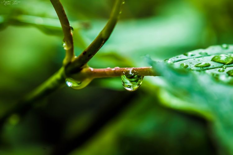 Wallpapers Nature Water - Drops Macro de gouttes