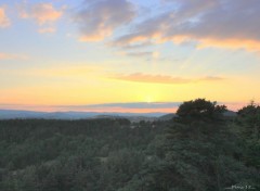  Nature AUVERGNE-HAUTE LOIRE