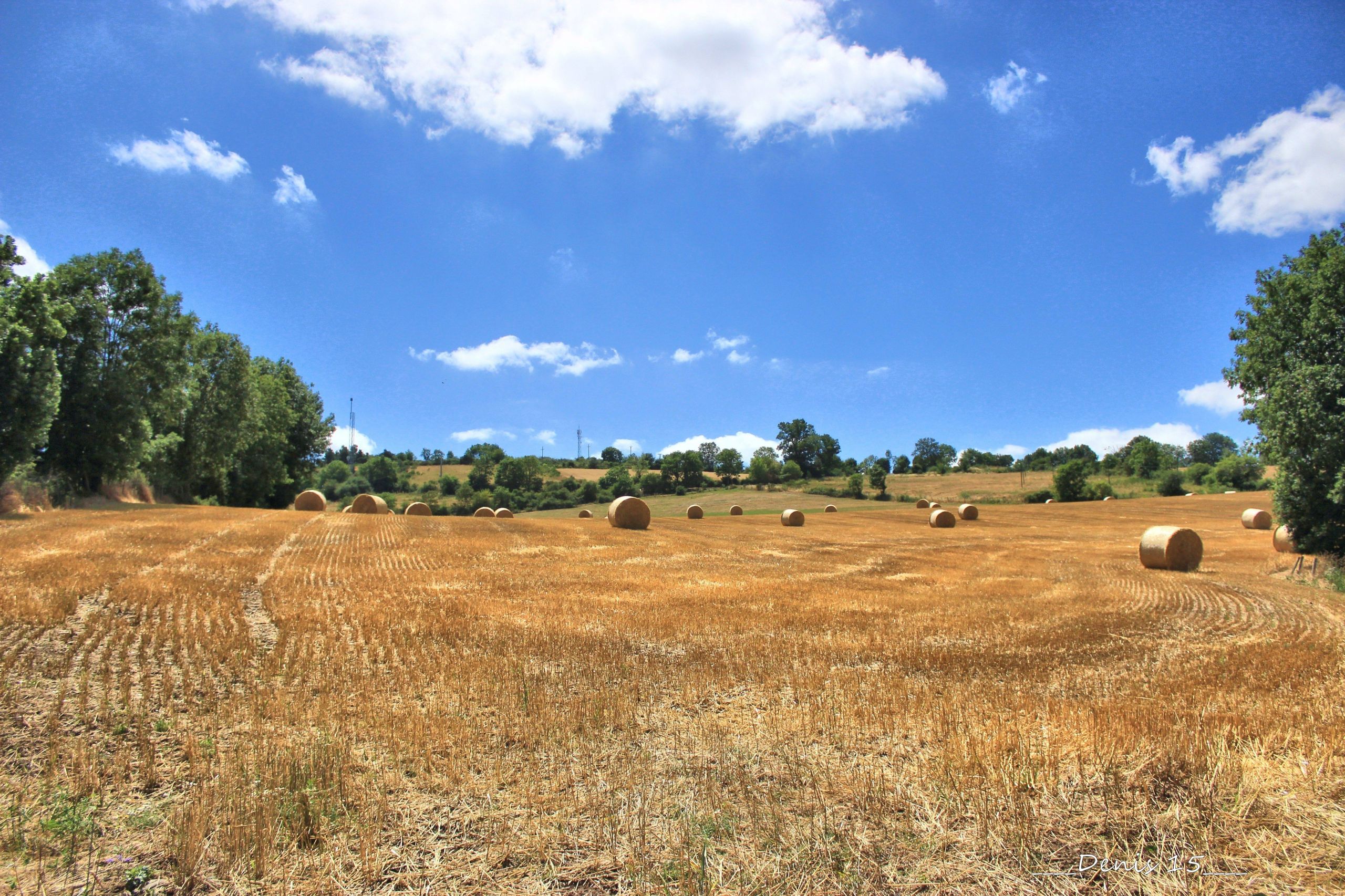 Wallpapers Nature Fields AUVERGNE-HAUTE LOIRE