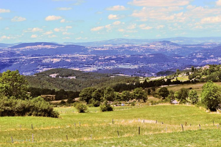 Fonds d'cran Nature Paysages AUVERGNE-HAUTE LOIRE