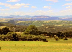  Nature AUVERGNE-HAUTE LOIRE