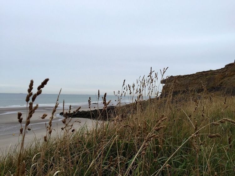 Wallpapers Nature Seas - Oceans - Beaches Plage de la Manche