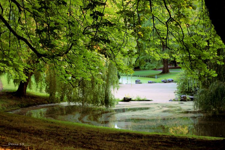 Fonds d'cran Nature Parcs - Jardins Parc Barbieux